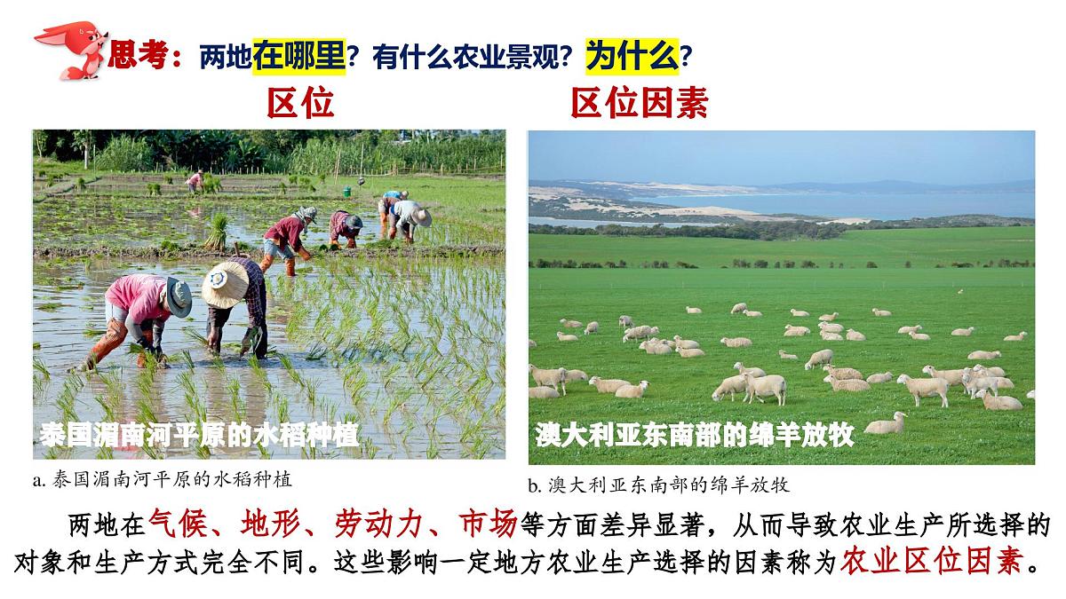 人教版高中地理必修 第二册 3-1农业区位因素及其变化 课件第8页