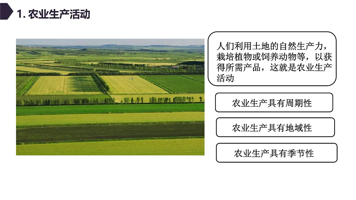 人教版高中地理必修 第二册 3-1农业区位因素及其变化 课件第5页
