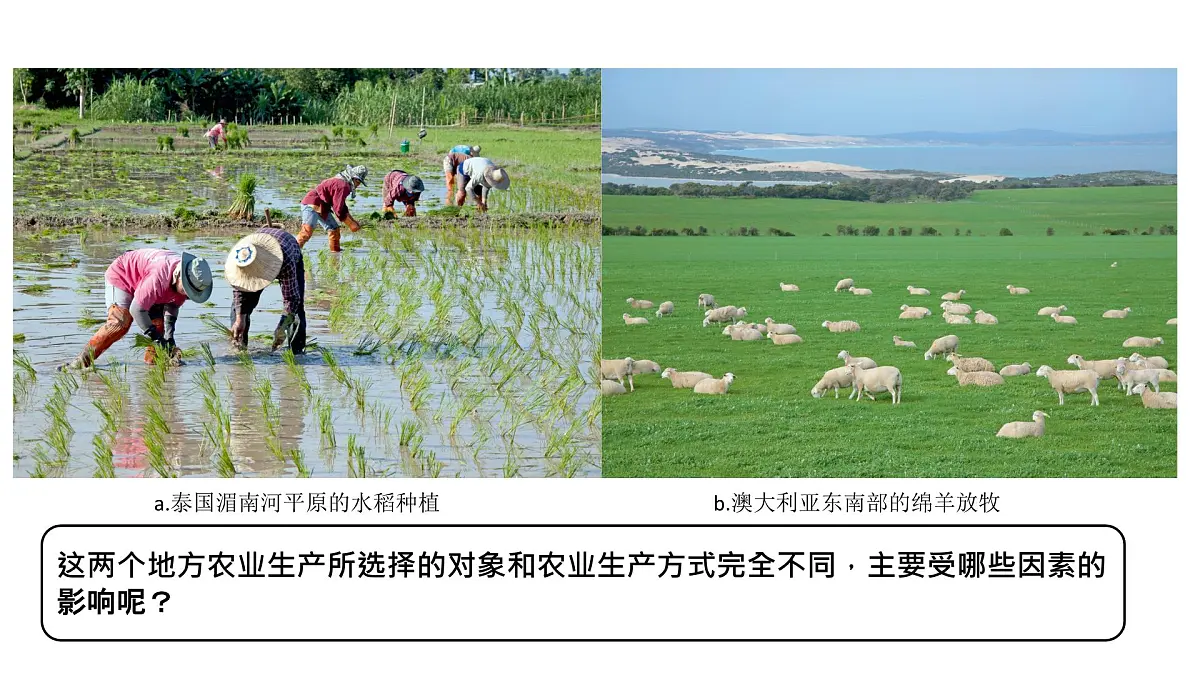 人教版高中地理必修 第二册 3-1农业区位因素及其变化 课件第6页