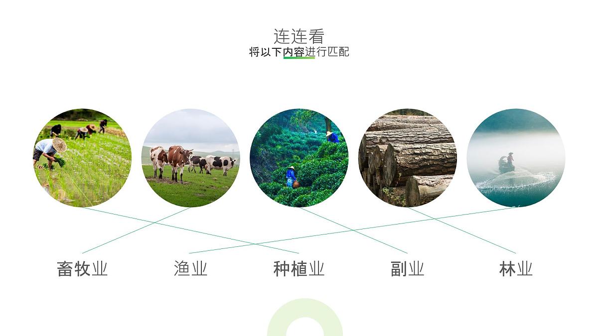 人教版高中地理必修 第二册 3-1课件-《农业区位因素及其变化》第6页