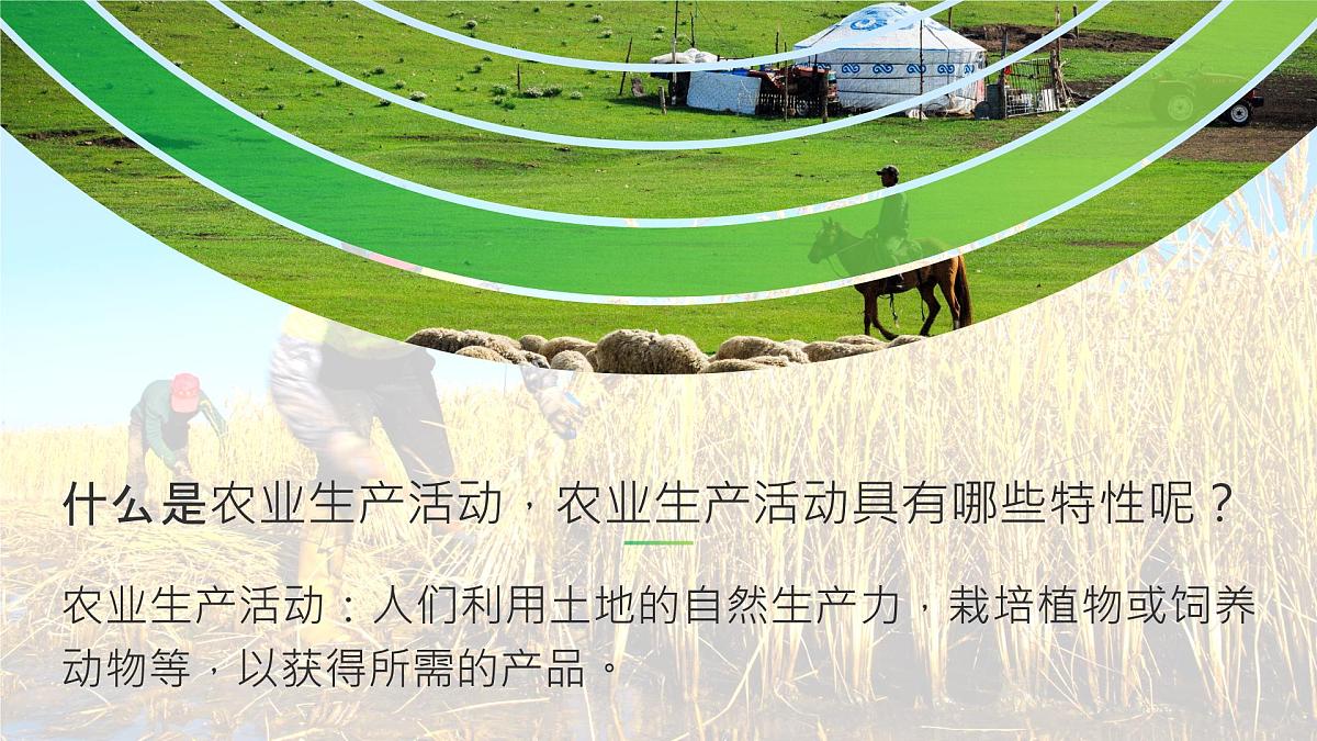 人教版高中地理必修 第二册 3-1课件-《农业区位因素及其变化》第7页