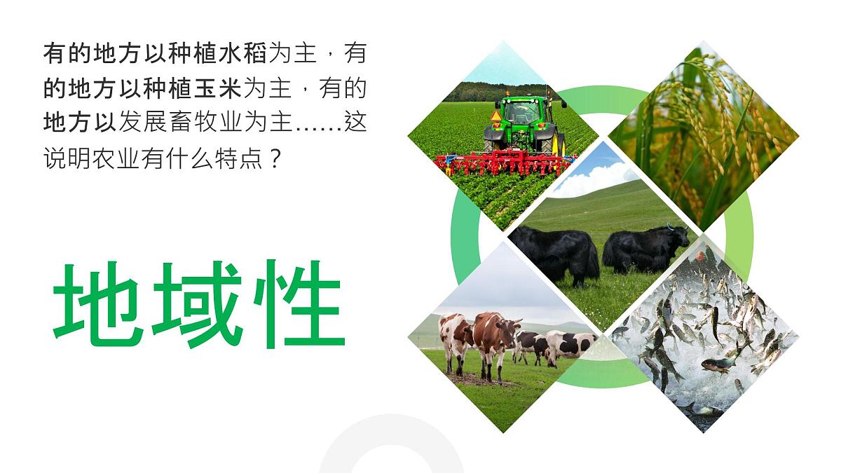 人教版高中地理必修 第二册 3-1课件-《农业区位因素及其变化》第8页
