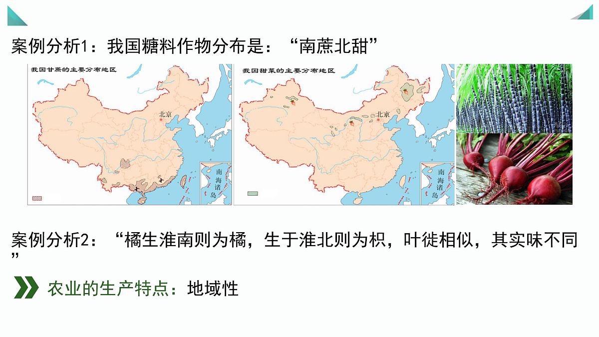 人教版高中地理必修 第二册 3-1课件《农业区位因素及其变化》（第1课时）第7页