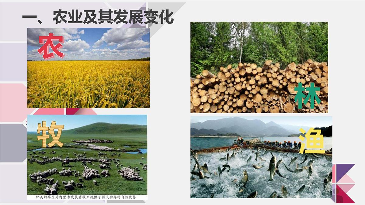 人教版高中地理必修 第二册 3-1课件《农业区位因素及其变化》第3页