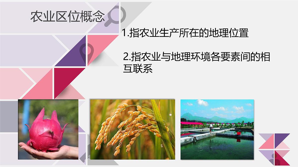 人教版高中地理必修 第二册 3-1课件《农业区位因素及其变化》第5页