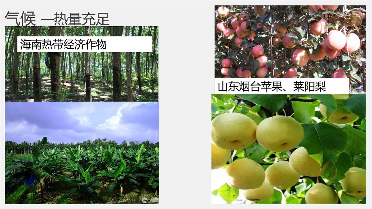 人教版高中地理必修 第二册 3-1课件《农业区位因素及其变化》第7页