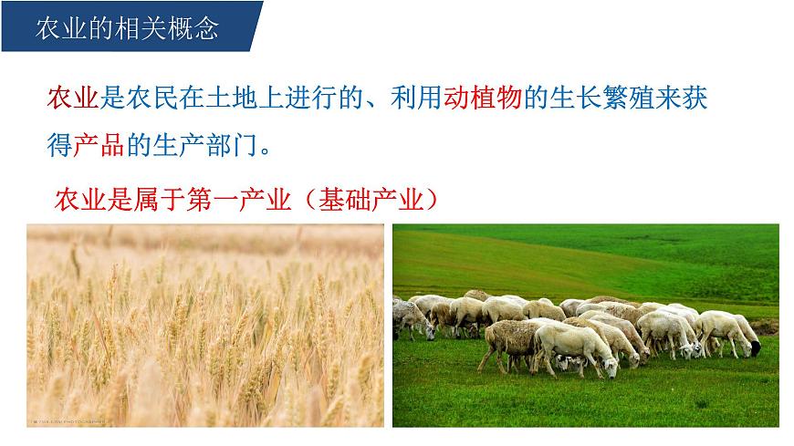 人教版高中地理必修 第二册第三章【复习课件】《产业区位因素》第5页