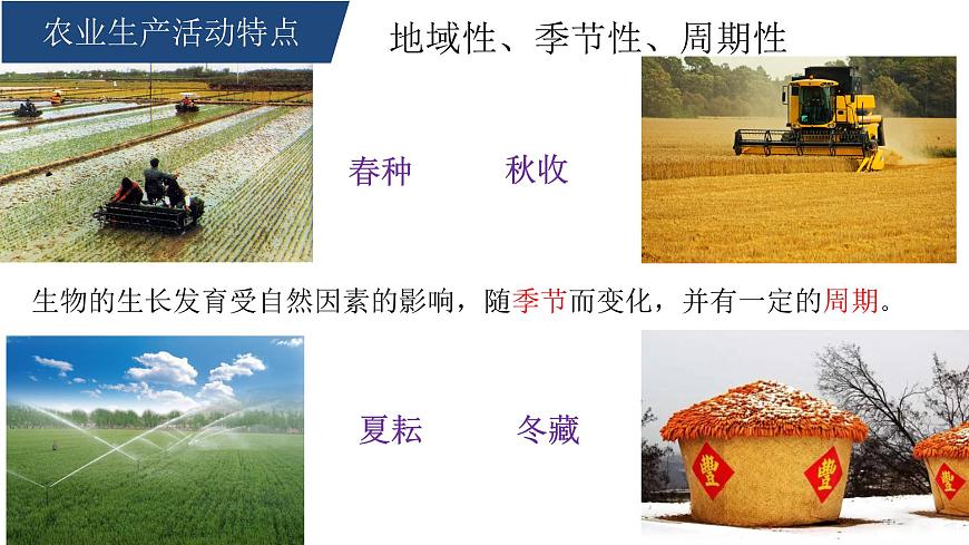 人教版高中地理必修 第二册第三章【复习课件】《产业区位因素》第7页