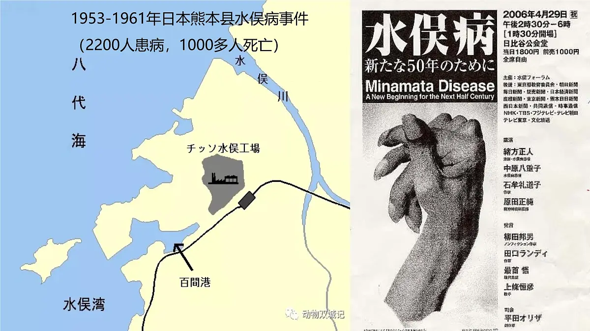 人教版高中地理 必修 第二册 5-1课件《人类面临的主要环境问题》第8页