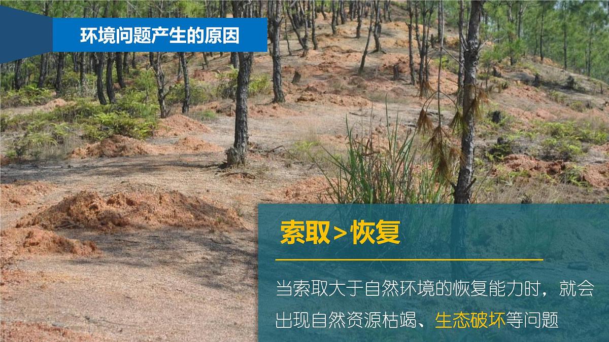 人教版高中地理必修 第二册【复习课件】第五章《环境与发展》第8页