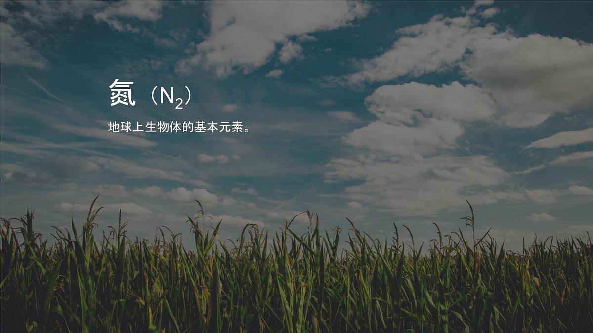 人教版高中地理 必修 第一册 2-1《大气的组成和垂直分层》课件第5页