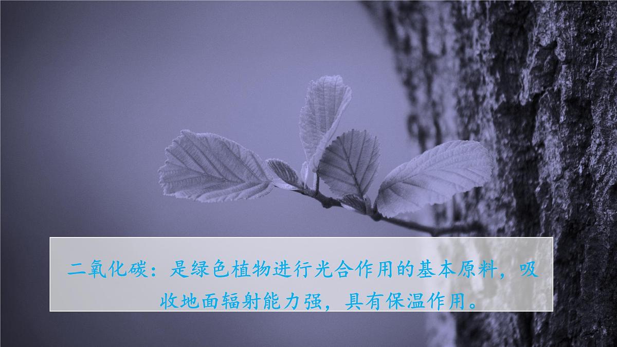 人教版高中地理 必修 第一册 2-1《大气的组成和垂直分层》课件第6页