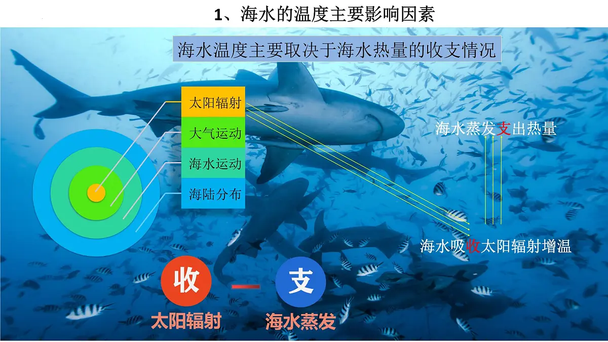 人教版高中地理必修 第一册 3-2《海水的性质》课件第4页
