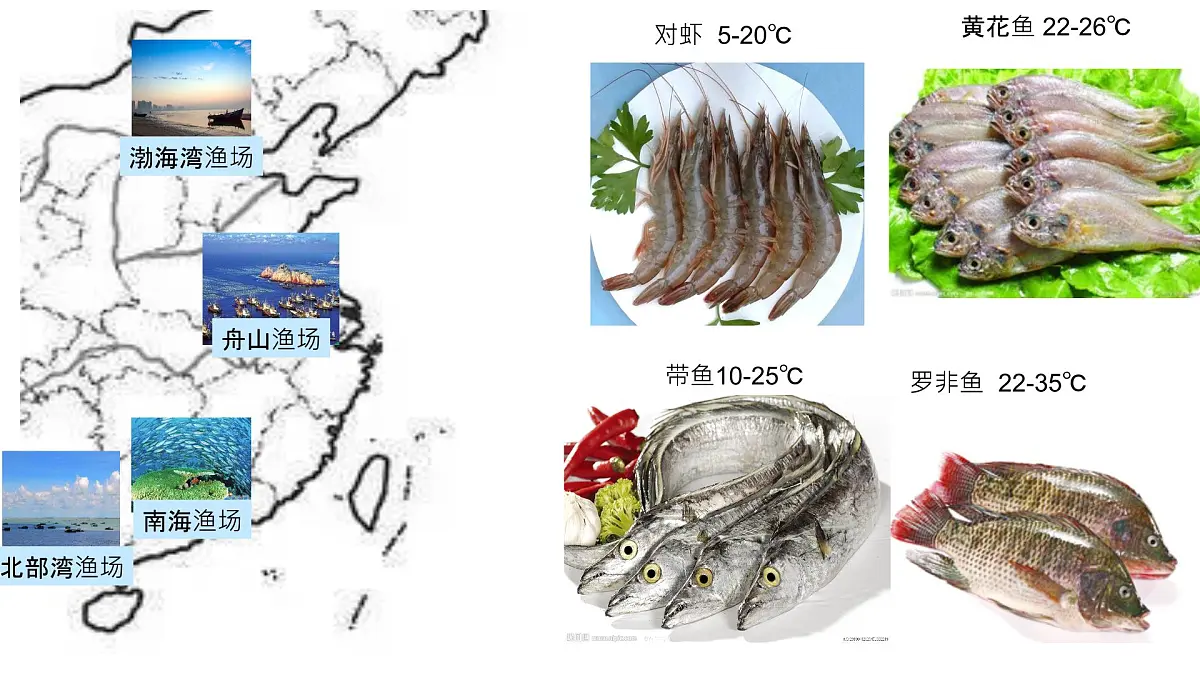 人教版高中地理必修 第一册 3-2《海水的性质》课件第8页