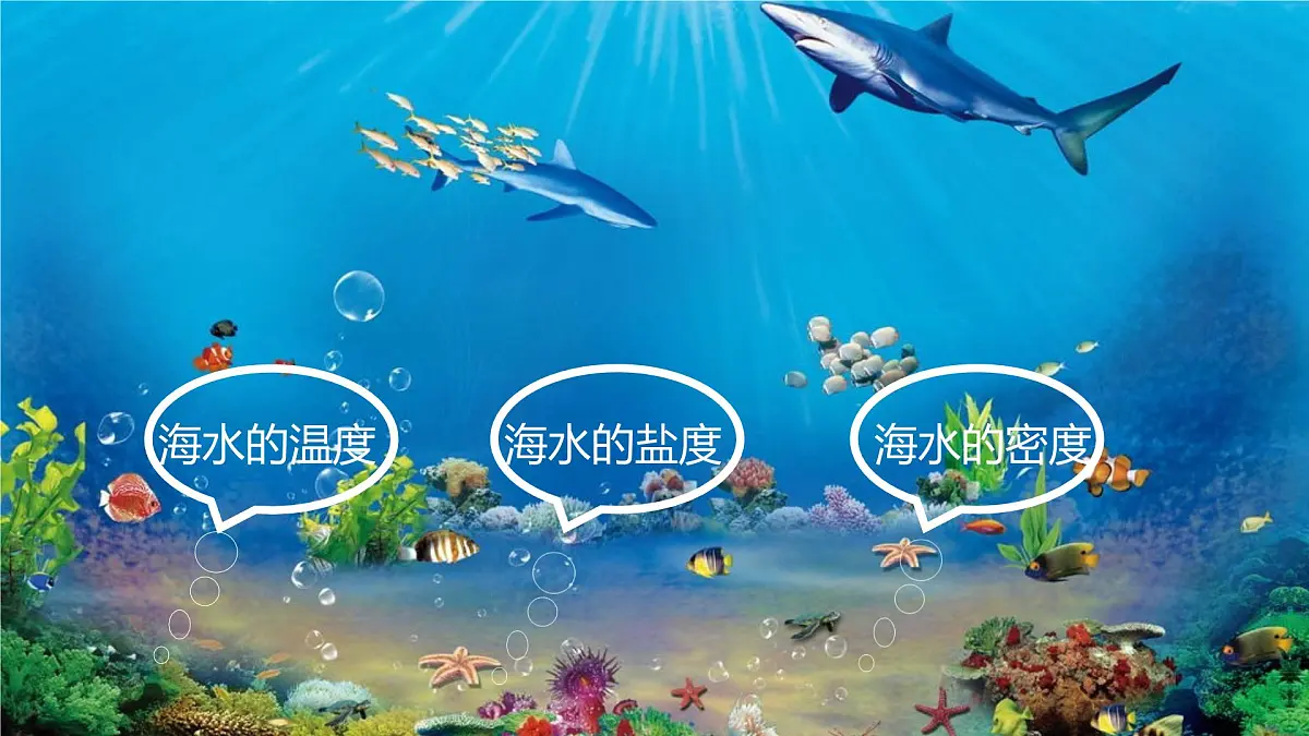 人教版高中地理必修 第一册 3-2《海水的性质》课件第4页