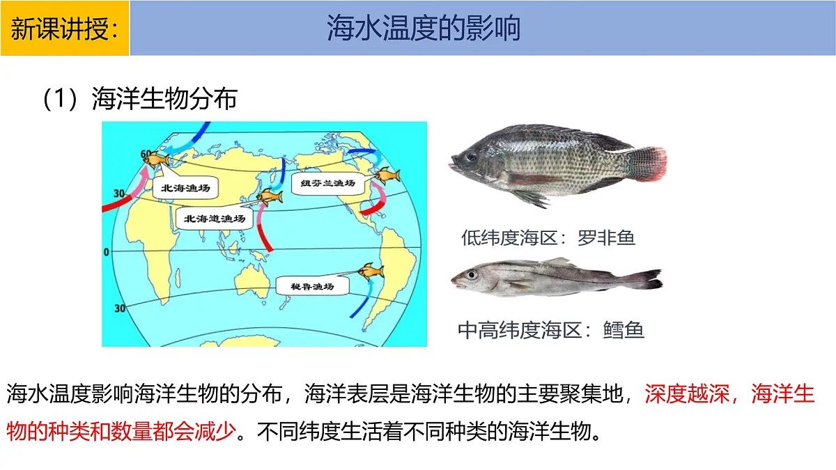 人教版高中地理必修 第一册 3-2《海水的性质》课件第8页