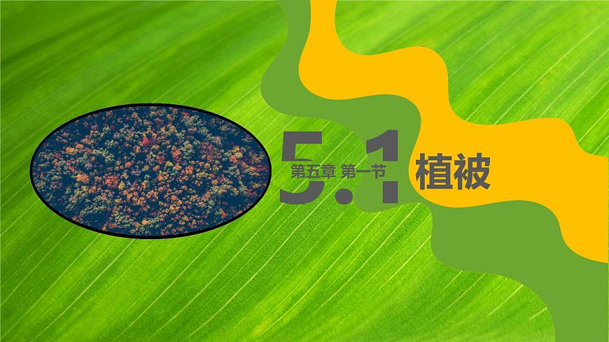 人教版高中地理必修 第一册 5-1《植被》课件第1页