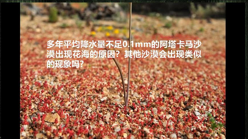 人教版高中地理必修 第一册 5-1《植被》课件第2页