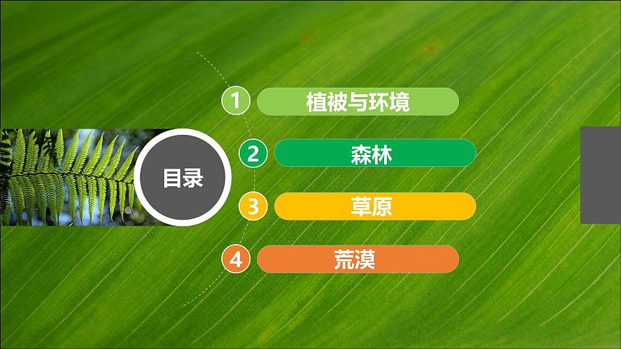 人教版高中地理必修 第一册 5-1《植被》课件第3页