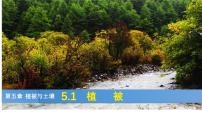 高中地理人教版 (2019)必修 第一册植被集体备课ppt课件