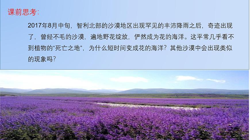 人教版高中地理必修 第一册 5-1《植被》课件第3页