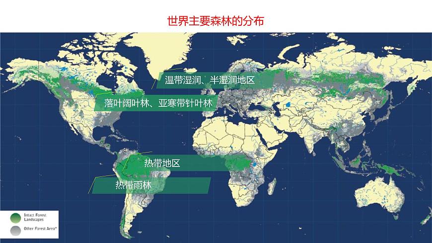 人教版高中地理必修 第一册 5-1《植被》课件第7页