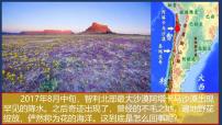 地理必修 第一册植被评课ppt课件