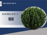 人教版高中地理必修 第一册 5-1《植被》课件