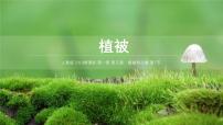 高中地理植被图片ppt课件