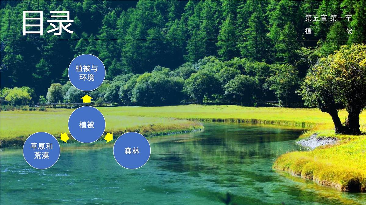 人教版高中地理必修 第一册 5-1《植被》课件第3页