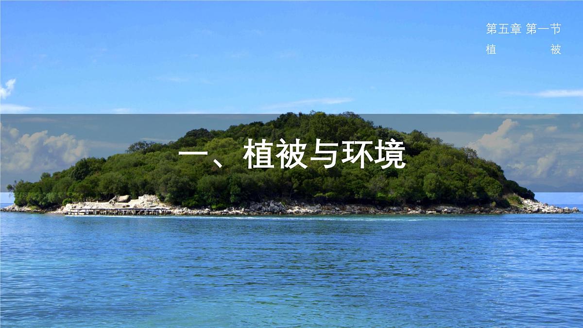 人教版高中地理必修 第一册 5-1《植被》课件第4页