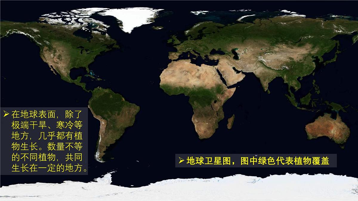 人教版高中地理必修 第一册 5-1《植被》课件第5页