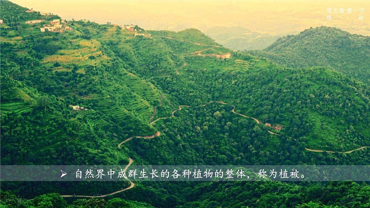 人教版高中地理必修 第一册 5-1《植被》课件第6页