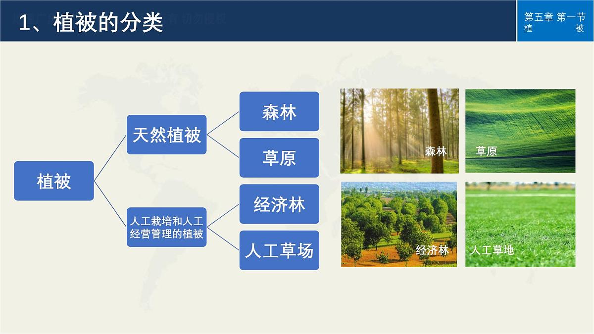 人教版高中地理必修 第一册 5-1《植被》课件第7页