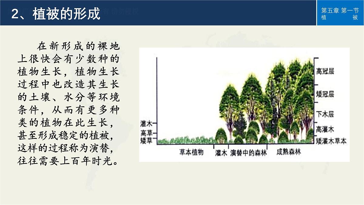 人教版高中地理必修 第一册 5-1《植被》课件第8页