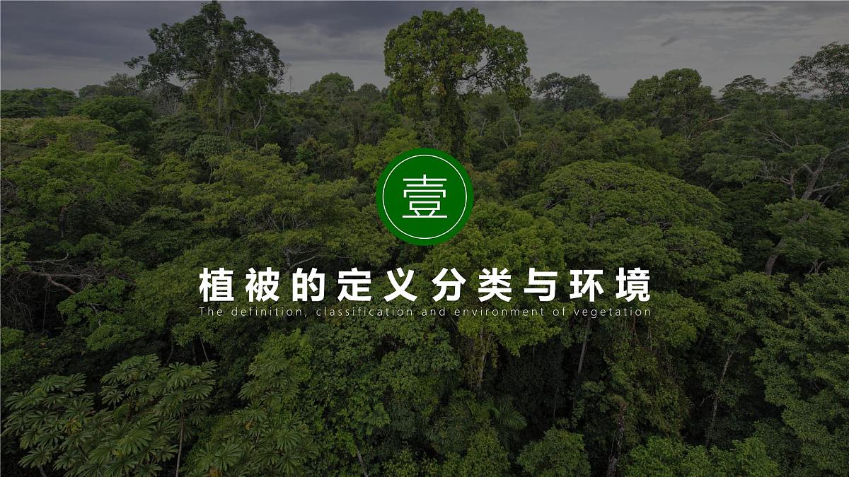 人教版高中地理必修 第一册 5-1《植被》课件第2页