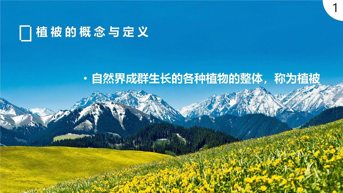 人教版高中地理必修 第一册 5-1《植被》课件第3页