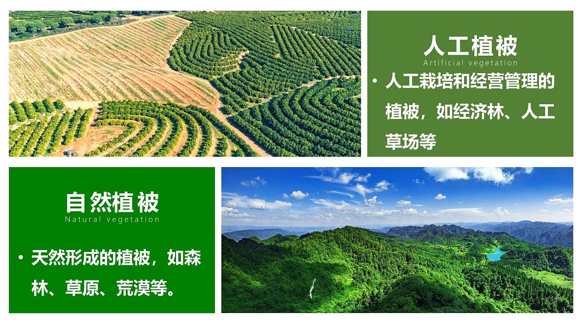 人教版高中地理必修 第一册 5-1《植被》课件第4页
