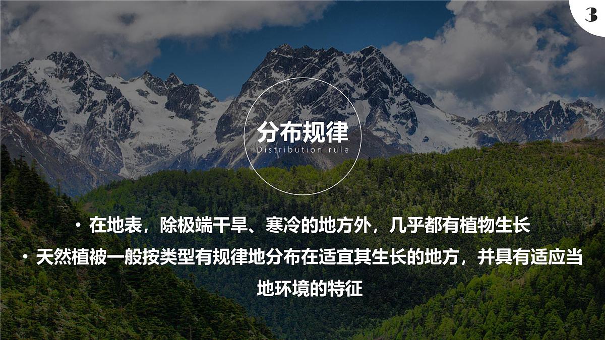 人教版高中地理必修 第一册 5-1《植被》课件第6页