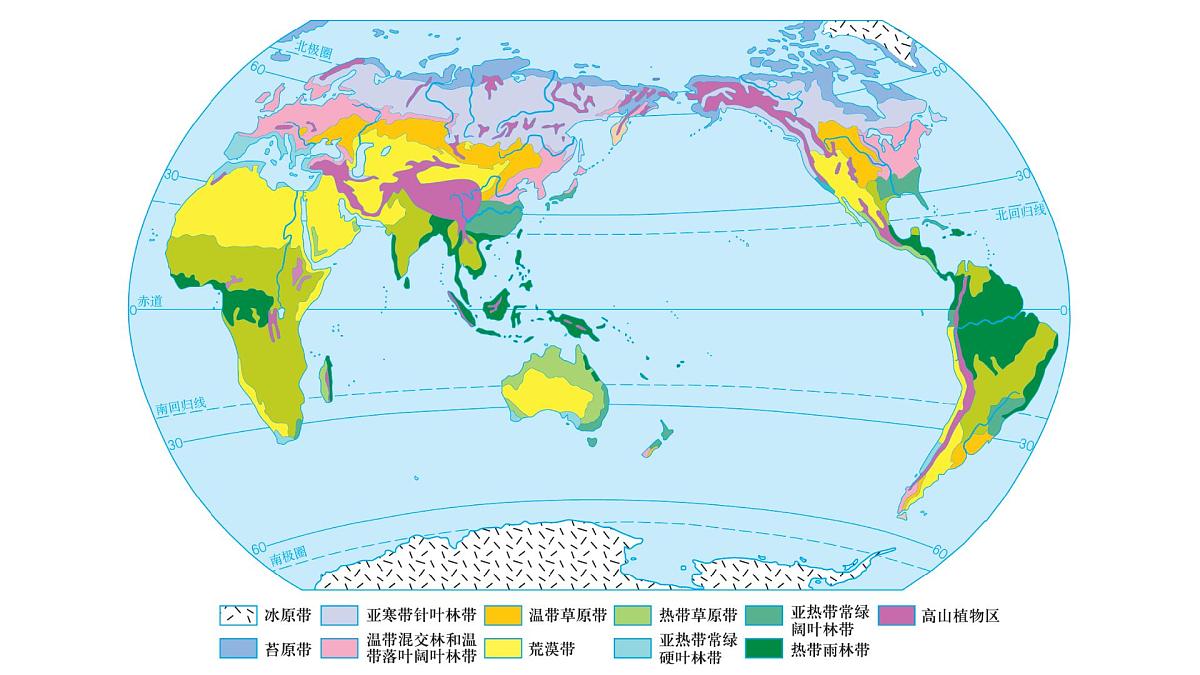 人教版高中地理必修 第一册 5-1《植被》课件第7页