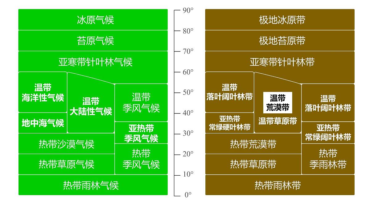 人教版高中地理必修 第一册 5-1《植被》课件第8页