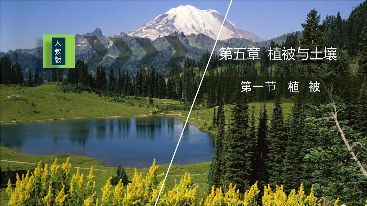 人教版高中地理必修 第一册 5-1《植被》课件第1页