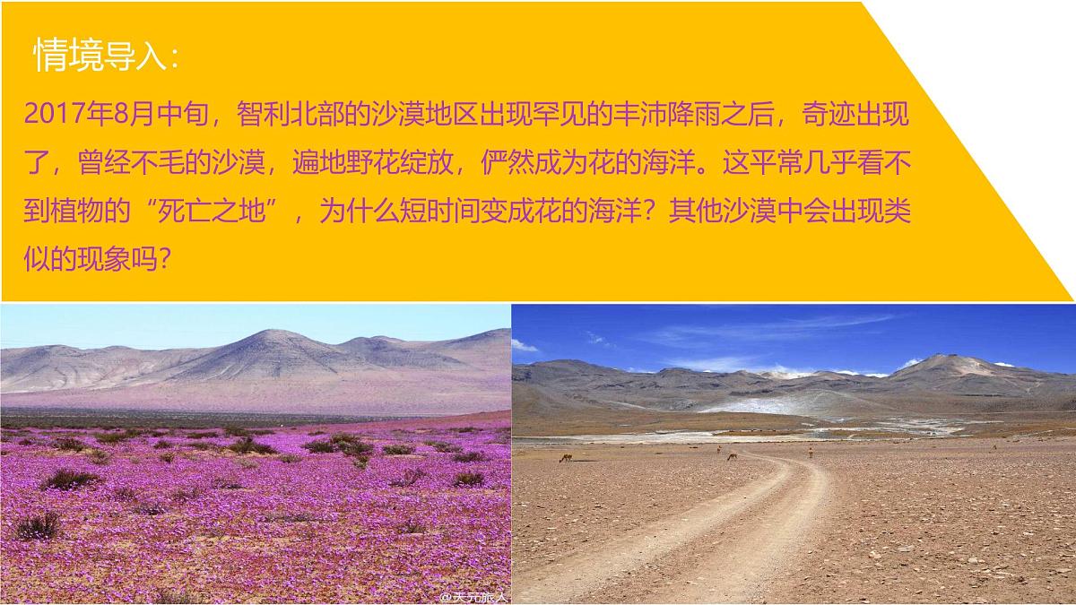人教版高中地理必修 第一册 5-1《植被》课件第2页