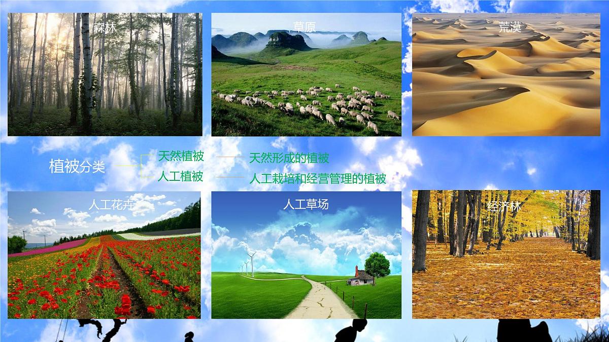 人教版高中地理必修 第一册 5-1《植被》课件第4页