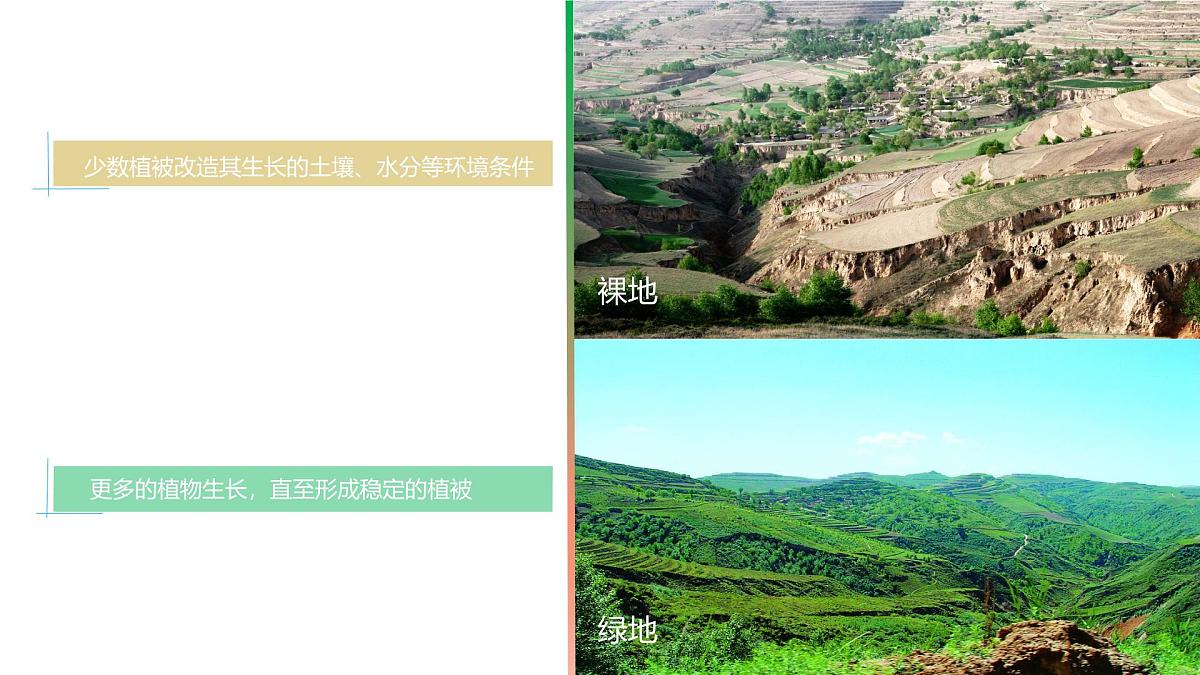 人教版高中地理必修 第一册 5-1《植被》课件第6页