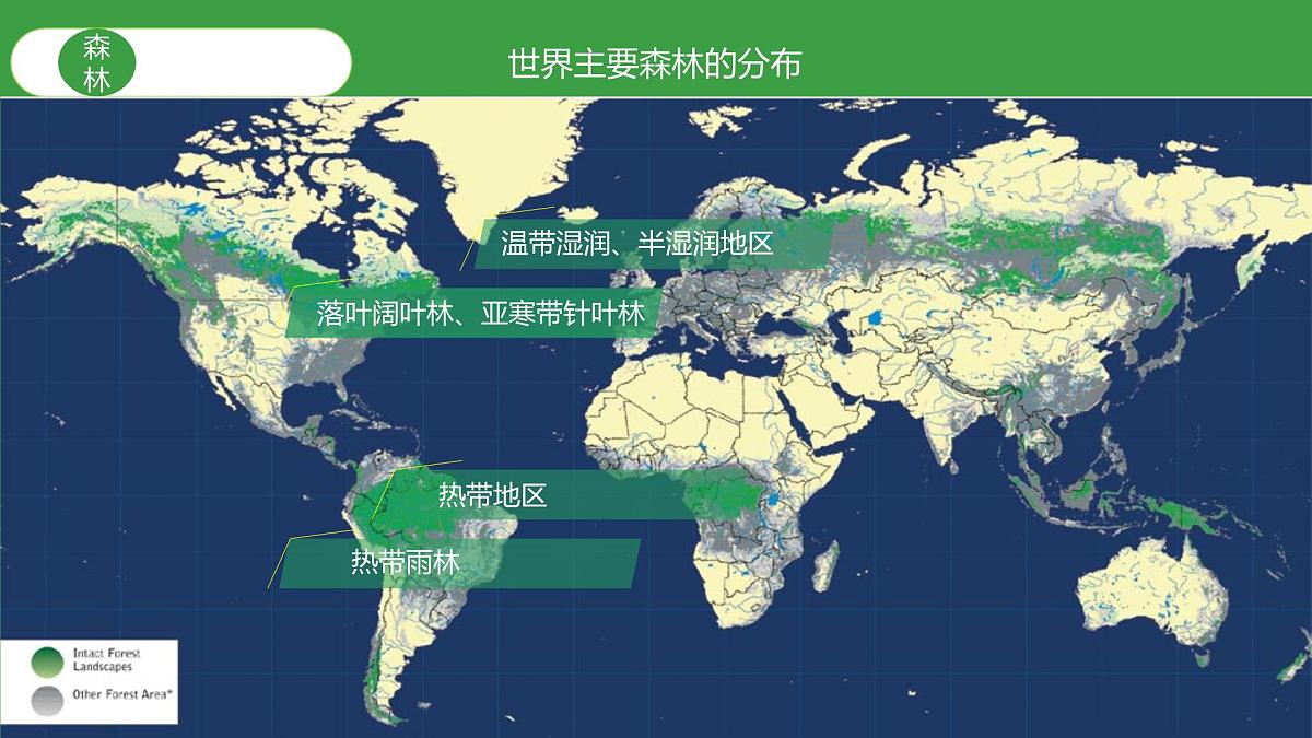 人教版高中地理必修 第一册 5-1《植被》课件第8页