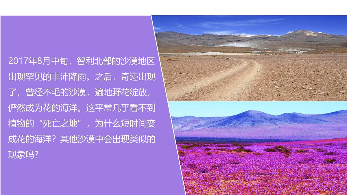人教版高中地理必修 第一册 5-1《植被》课件第2页