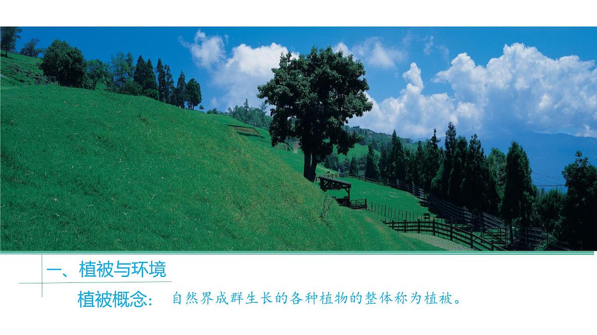 人教版高中地理必修 第一册 5-1《植被》课件第3页