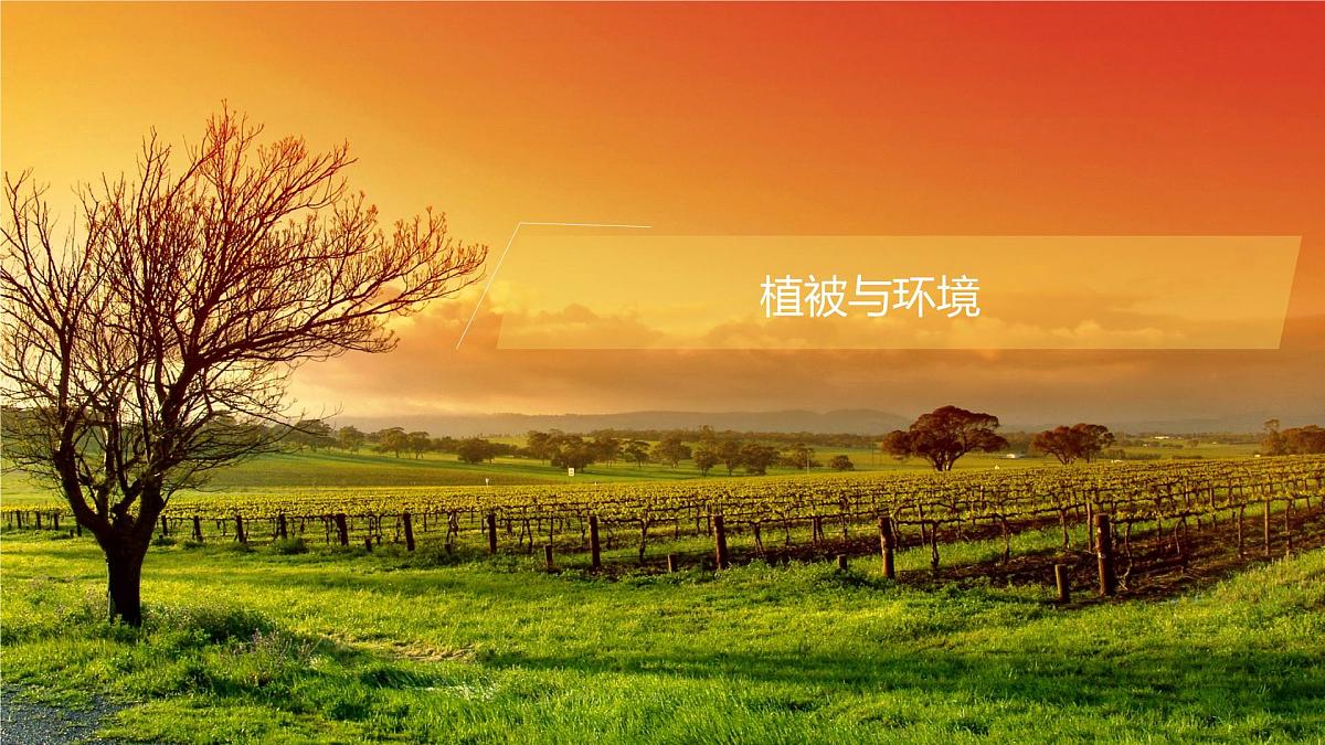 人教版高中地理必修 第一册 5-1《植被》课件第5页