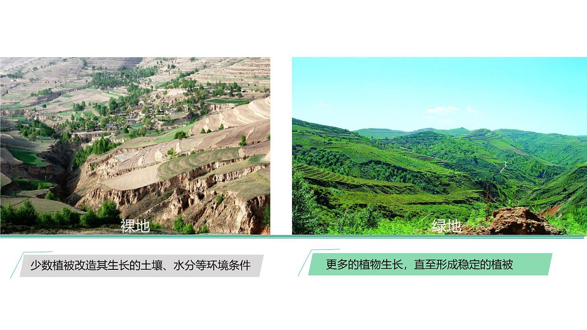 人教版高中地理必修 第一册 5-1《植被》课件第6页
